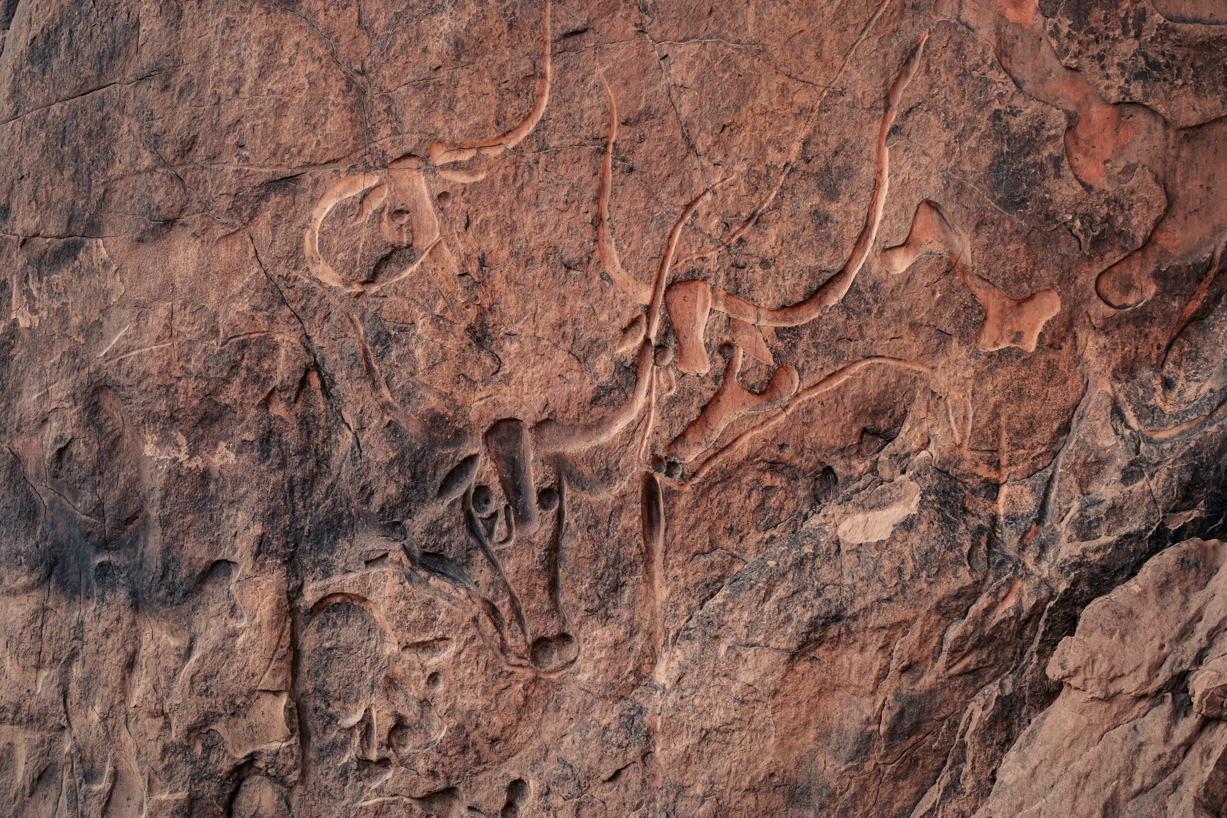 Prehistoric rock paintings in Algerian Sahara desert