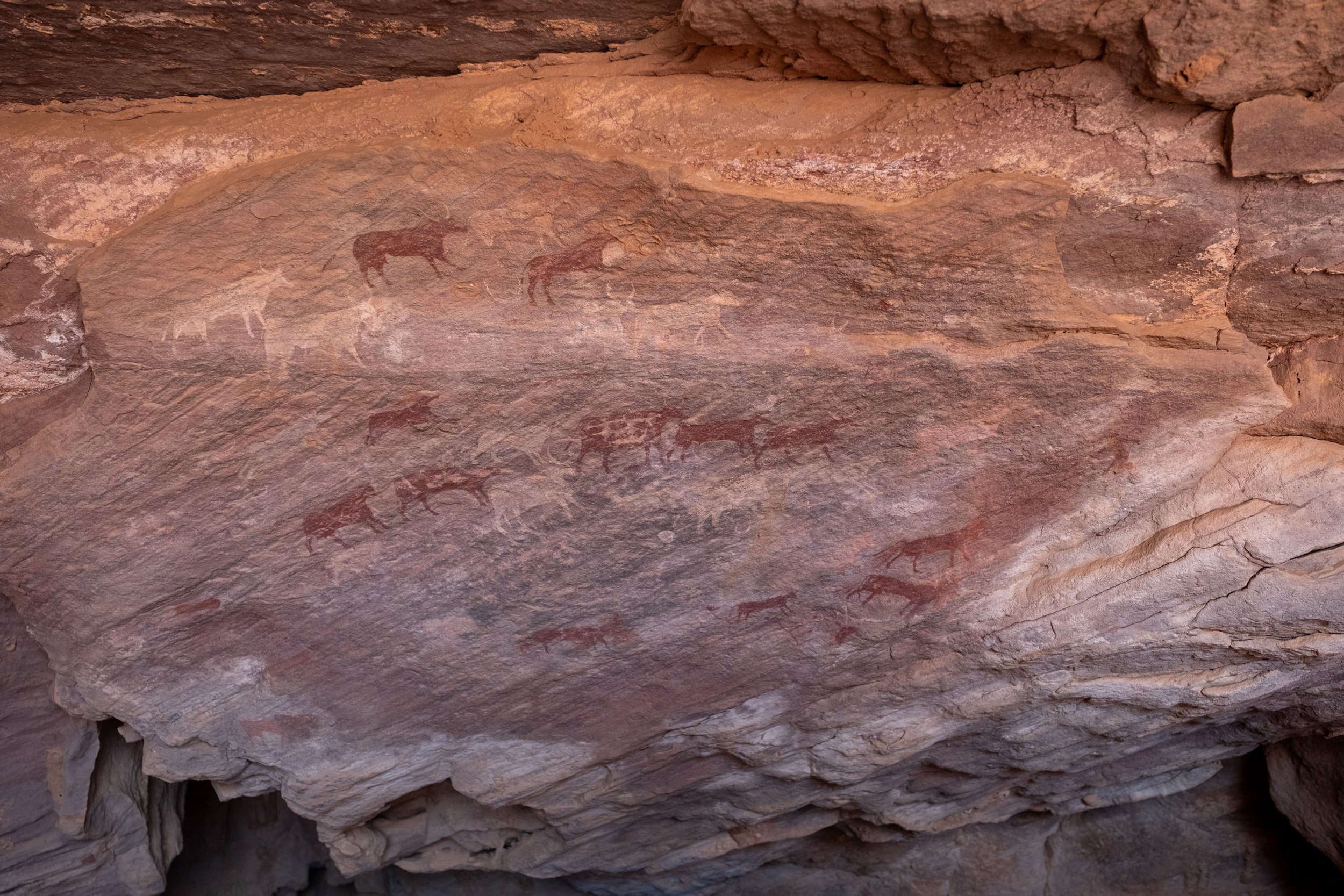 Rock art carvings in Tadrart region of southern Algeria
