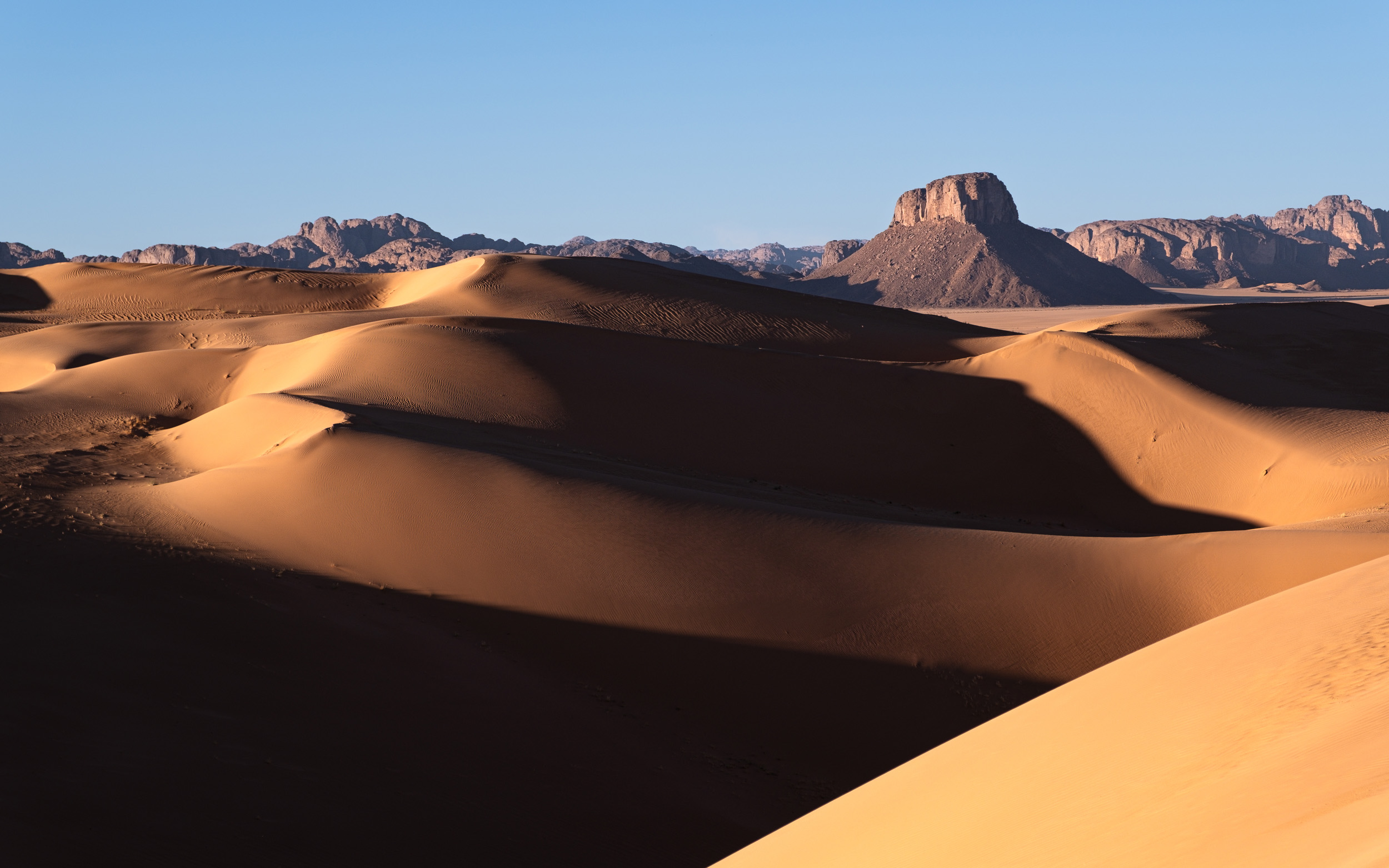 Sand dunes in the Sahara desert, Algeria with soft light and vast landscape