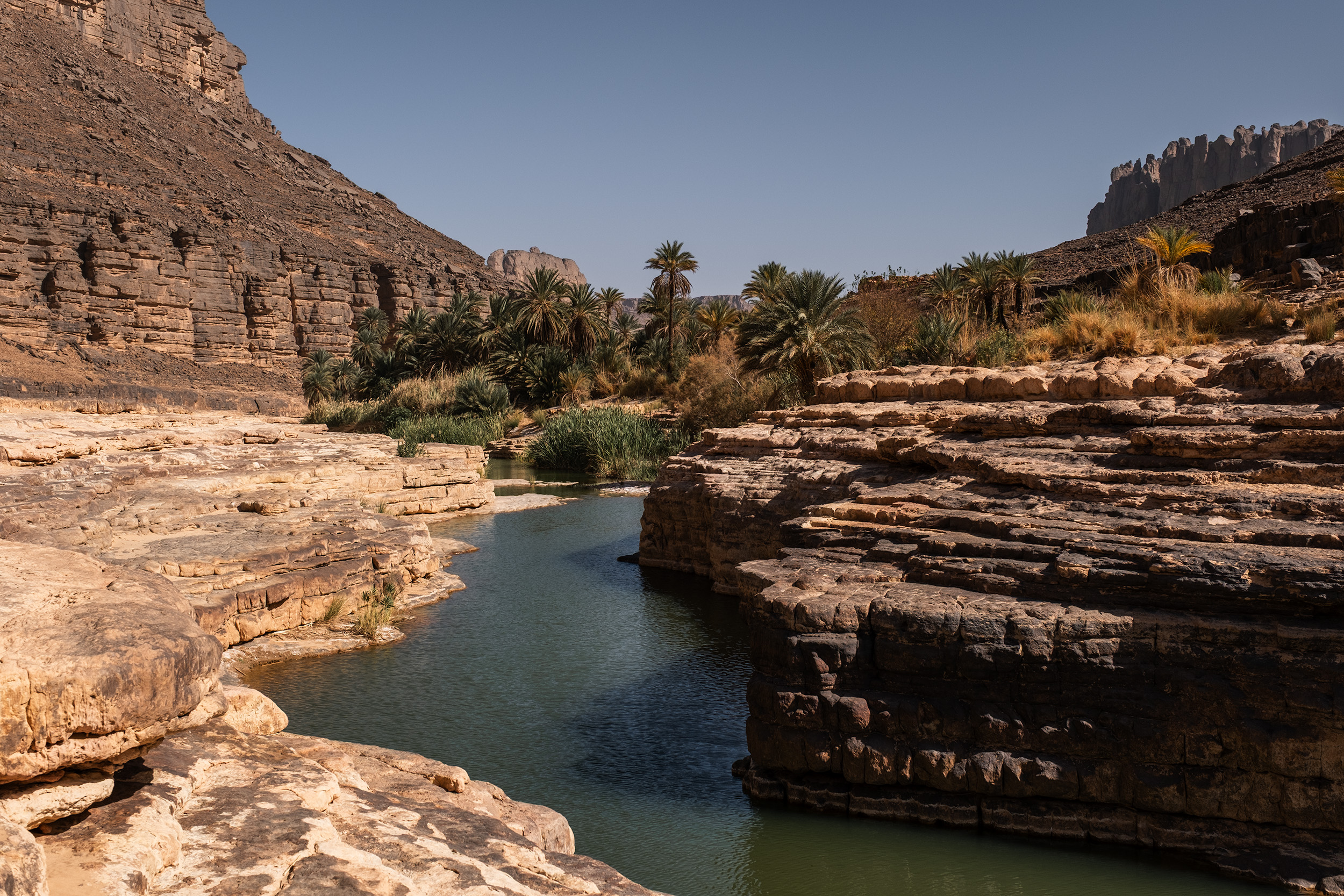 Oasis in Iherir Algeria with palm trees and water in the Sahara desert