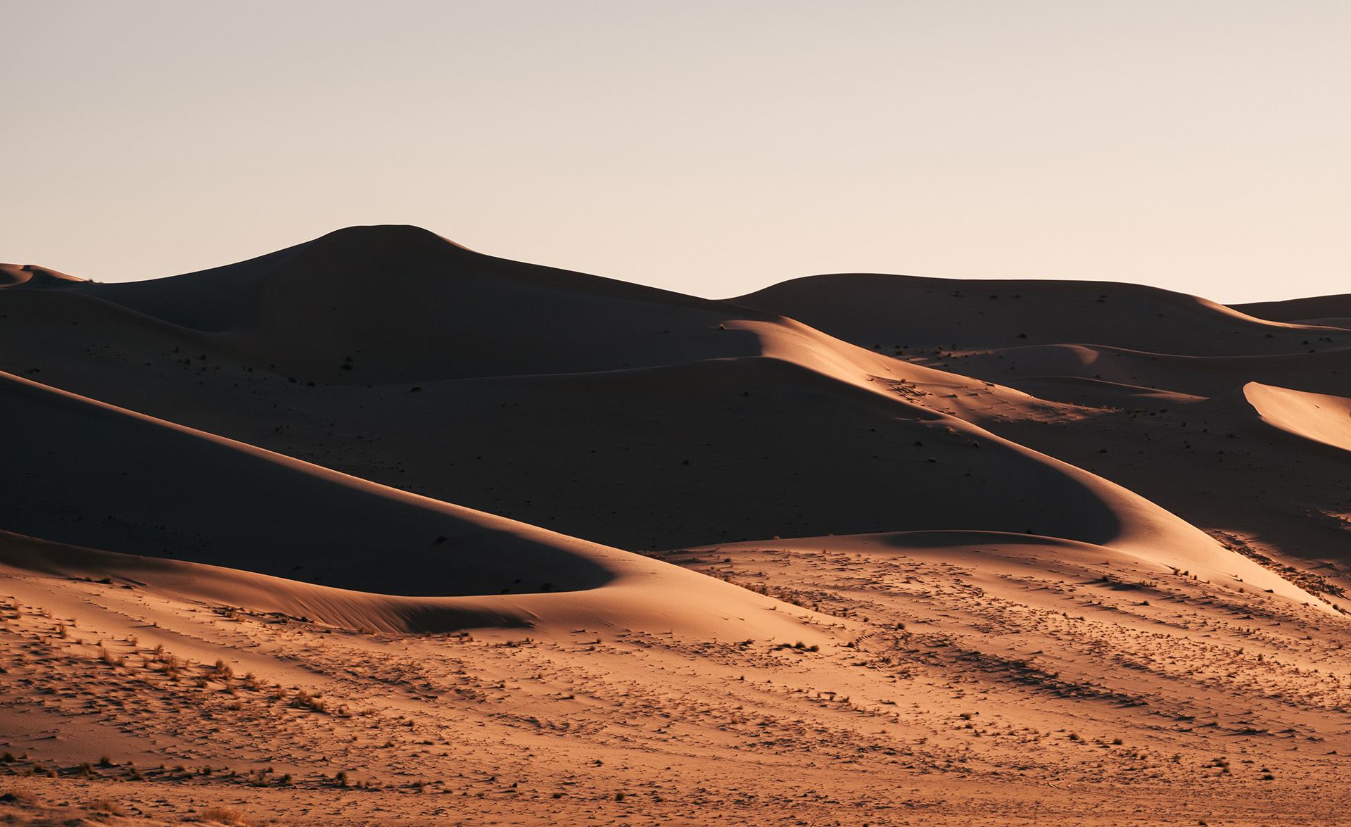 Sand dunes in the Sahara desert, Algeria with soft light and vast landscape