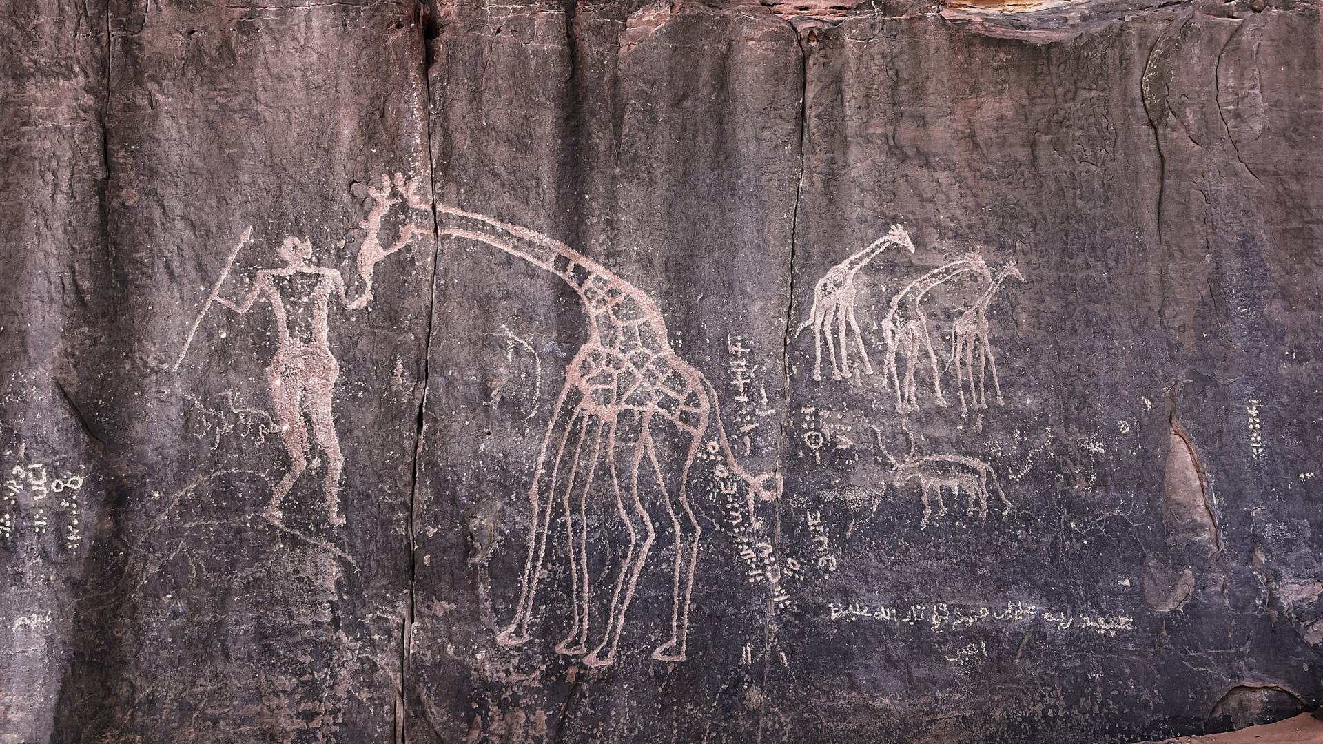 Ancient rock art depicting giraffes in Tadrart region of the Sahara desert, Algeria